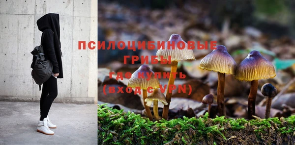 гидропоника Вязники