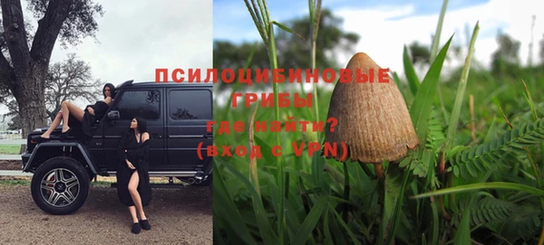 твердый Вязьма