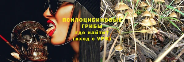 ALPHA PVP Вяземский