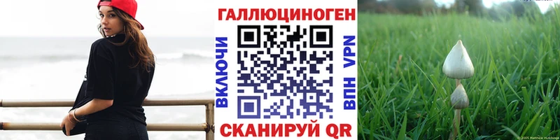 Псилоцибиновые грибы Psilocybine cubensis  Ухта 